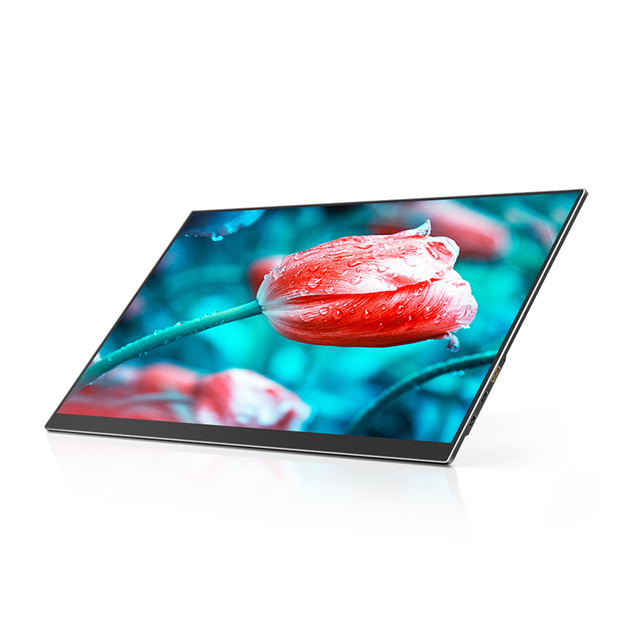4K Monitor 17.3 Inch Portable Monitor with Type C Input USB 5V