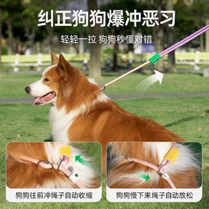 Dog Leash Nylon <b>Padded</b> Rope For Small Medium Large Dogs <b>Walking</b> Supplies Solid Color QW1999 - Product Image 3