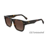 Lunettes de soleil polarisées en acétate pour femmes, modèle 2026, vente en gros, design de luxe personnalisé, lunettes de soleil carrées de haute qualité