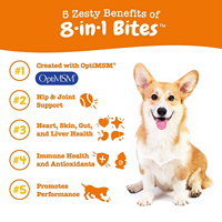 Petop Dog Multivitamin Soft Chews, complément alimentaire pour chien, soutien des articulations et du système immunitaire, santé cardiaque, santé de la peau et du pelage, digestion.