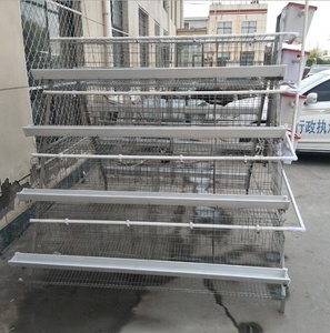Nuevo diseño Poultry Chicken Farm batería jaulas <span class=keywords><strong>de</strong></span> pollo para asar con regulador <span class=keywords><strong>de</strong></span> presión <span class=keywords><strong>de</strong></span> <span class=keywords><strong>agua</strong></span> para la granja <span class=keywords><strong>de</strong></span> Pakistán - Product Image 2