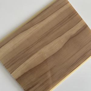 Panel de techo de plástico, 25-30 CPPVpanel iiiievevevevevevevevevev - Product Image 4