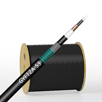 Kabel Serat Optik Terlilit 2-144 Inti GYFTZA53, Kabel Komunikasi Non-Metalik dengan Fitur Tahan Api dan Dilengkapi Armor