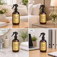 Diffuseur d'ambiance moderne personnalisé de 500 ml avec flacon d'huile et logo personnalisé pour la maison, l'hôtel, le bureau