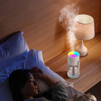 Mini Diffuseur d'Huiles Essentielles à Brume Froide avec Effet Flamme, Veilleuse, USB pour Voiture, Alimentation Électrique sur Batterie, Humidistat, en Plastique, Garantie 1 An, pour Aromathérapie