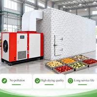 Tomaten Tabak Schaal Cassave Vis Thee Knoflook Blad Peper Mango Ui Warmtepompdroger Chip Dehydrator Machine Fruitdroger