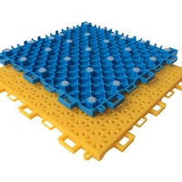 Dalles de sol modulaires antidérapantes en PP pour terrains multisports et hôtels, idéales pour les activités sportives en extérieur