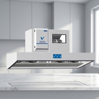 Hotte de cuisine commerciale électrique sans conduit à recirculation d'air, haute efficacité, faible bruit, en acier inoxydable