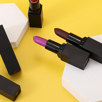 Rouge à Lèvres Mat Vegan Nude Waterproof, Rouge à Lèvres Liquide Mat Marque Blanche