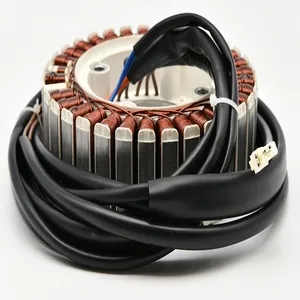 YP, Yuxin high power High speed 1.1KW 120V DC Magneto Stator Coil