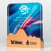 Trophée en bois et cristal personnalisé avec logo, design gratuit, vente en gros