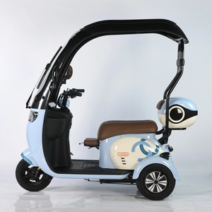 Hot Selling 48V 20Ah Carbon Steel Electric Tricycle 3-Wheel Scooter 600W <b>Power</b> for Passenger - Product Image 3