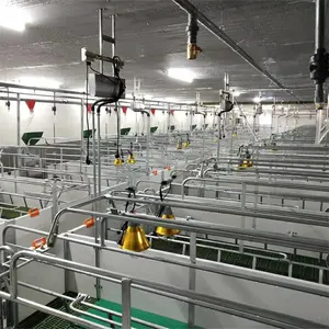 Factory Price Designed Hog Raising Pig Breeding Equipment