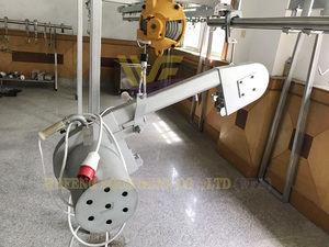 Máy cưa tách thịt bò hiệu quả cao cho máy cắt thịt bò giết mổ giết mổ 50 gia súc mỗi ngày giờ - Product Image 3