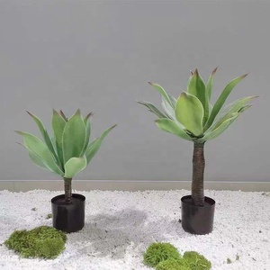 Plante artificielle naturelle et colorée, bonsaï Agave Potatorum <span class=keywords><strong>Variegata</strong></span> - Product Image 2
