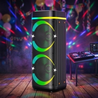 Haut-parleur portable haute puissance 30-50W pour extérieur, lumières RGB, microphone DJ sans fil, carte FM TF, batterie 3600mAh, télécommande TWS