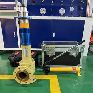 שסתום בטיחות נייד באינטרנט מסווגים בדיקות דליפות לחץ איטום אוטומטית נתוני בדיקה - Product Image 4