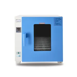 WEIAI desktop forno di essiccazione a doppio strato di riscaldamento 200C digitale verticale 23L sterilizzatore dentale ad aria calda forno di essiccazione da laboratorio