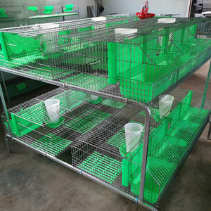 Cage de lapin pour l'élevage 16 simples de type européen avec fil galvanisé à chaud cage de lapin à double couche