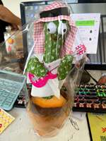 Cactus en peluche chantant et dansant, jouet en peluche, jouet enregistrant, cactus dansant électrique, vente chaude