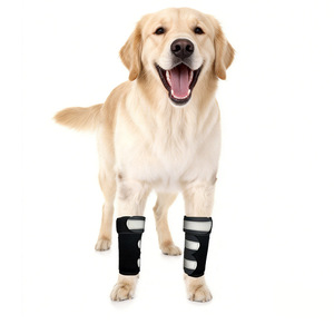 Soporte Ajustable y Transpirable <span class=keywords><strong>de</strong></span> Neopreno para <span class=keywords><strong>Rodilla</strong></span>/Codo <span class=keywords><strong>de</strong></span> Mascotas con Cierre <span class=keywords><strong>de</strong></span> Gancho y Bucle, Ligero, para Alivio del <span class=keywords><strong>Dolor</strong></span> Articular en Perros y Gatos, Bajo MOQ <span class=keywords><strong>de</strong></span> Fábrica - Product Image 1