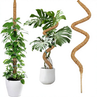 Poteau en mousse de coco durable et écologique pour le soutien des plantes, design minimaliste, utilisation domestique et jardin, longueur personnalisable