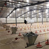 Système complet d'élevage au sol pour poulets de chair – Équipement d'élevage avicole complet pour l'élevage en intérieur à plat pour ferme avicole commerciale