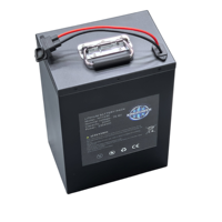 Baterai Lithium LiFePO4 60V 30Ah untuk Sepeda Listrik dengan 1500 Siklus, Garansi 2 Tahun, Tingkat Pengosongan 1.5C