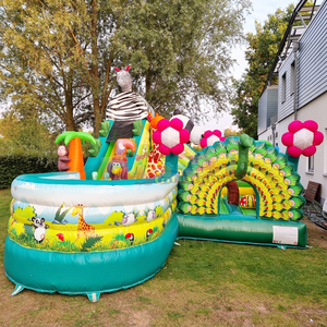 Structure gonflable aquatique de qualité commerciale pour enfants, avec toboggan et piscine, pour fêtes en plein air. - Product Image 6