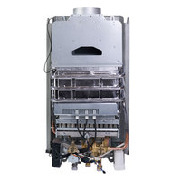 Chauffe-eau à gaz instantané sans réservoir 10L 12L à évacuation forcée, type Geyser, pour usage domestique, compatible GPL/GN, fabrication OEM/ODM