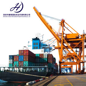 Air Freight Forwarder Porta a Porta China para a Arábia Saudita EAU Itália Argentina Canadá Bulk LCL + Express Sea Freight Forwarder - Product Image 2