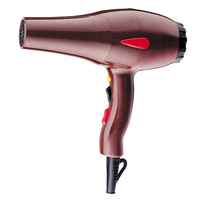 Sèche-cheveux professionnel de salon de qualité supérieure avec concentrateur en plastique de 2200W