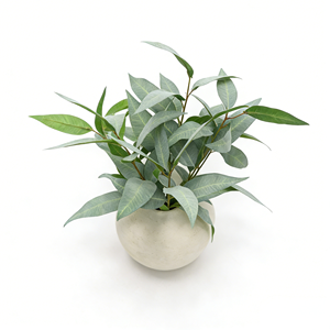 Plantes artificielles d'<span class=keywords><strong>eucalyptus</strong></span> <span class=keywords><strong>en</strong></span> <span class=keywords><strong>pot</strong></span> <span class=keywords><strong>en</strong></span> pulpe de papier écologique avec faux sol, <span class=keywords><strong>pour</strong></span> une maison sereine sur les étagères et les rebords de fenêtre - Product Image 1