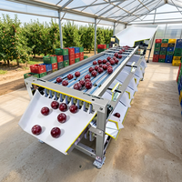 Jiayang bessen- en fruit sorteermachine, walnoot- en knoflook sorteermachine, fruit sorteermachine, sorteermachine voor maat en kwaliteit.