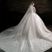 Robe de mariée de bal Lsht112 pour les mariées, avec détails en dentelle et sequins révélant les épaules, avec Robe De Mariage Jancemebr