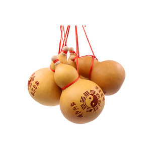 Decorazioni da Tavolo con <span class=keywords><strong>Zucca</strong></span> Essiccata Naturale all'Ingrosso, Fiori e Frutta Secchi per Matrimoni, Feste, Decorazioni Natalizie e Ornamenti Fai-da-Te - Product Image 5