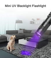 Senter saku EDC led mini kustom lampu pena baterai AAA Brightenlux lampu pena obor medis