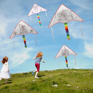 Juguetes educativos al por mayor easyying flying <span class=keywords><strong>cometa</strong></span> <span class=keywords><strong>de</strong></span> <span class=keywords><strong>traccion</strong></span> diy en blanco chino en venta <span class=keywords><strong>de</strong></span> weifang shandong china - Product Image 1