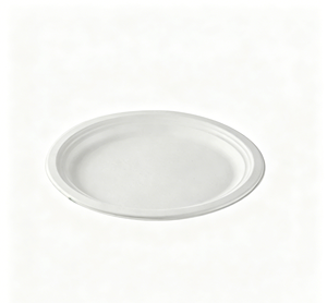 Assiette ronde compostable en bagasse de canne à sucre de 25 cm, écologique, jetable, pour les fêtes, les pique-niques, les plats à emporter et l'usage quotidien - Product Image 1
