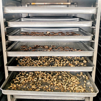 192 Trays Industriële Dehydrator Droogoven Voor Zeevruchten Droger Voedsel Dehydrator