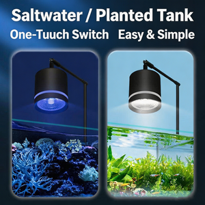 Lampe à pince LED 20W bleue et blanche réglable <span class=keywords><strong>pour</strong></span> <span class=keywords><strong>aquarium</strong></span> d'<span class=keywords><strong>eau</strong></span> salée et d'<span class=keywords><strong>eau</strong></span> <span class=keywords><strong>douce</strong></span>, corail, plante aquatique, aquascape <span class=keywords><strong>pour</strong></span> <span class=keywords><strong>aquarium</strong></span> de poissons, économe en énergie - Product Image 3