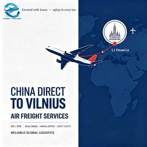 Transitaire aérien chinois : Approvisionnement en gros, livraison rapide et sécurisée LCL/FCL à VNO, PLQ, KUN, <span class=keywords><strong>SQQ</strong></span>, CIF/CFR, livraison à l'aéroport en Lituanie - Product Image 2