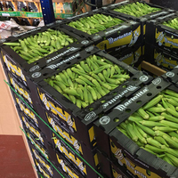 Caja de Plástico Corrugado para Frutas y Verduras, Espárragos, Uvas, Okra, Maíz