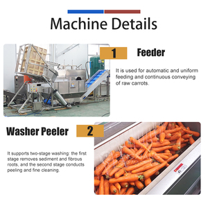 Ligne de traitement industrielle pour carottes et radis : machine de lavage, pelage, tri, pesage et emballage de carottes - Product Image 2