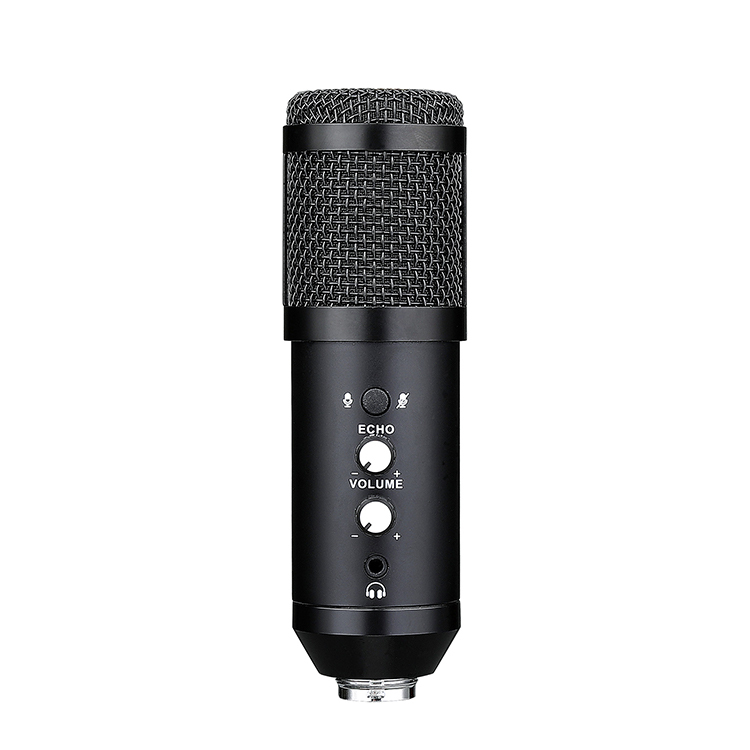 BM-868 USB Condenser Microphone for Professional Voice Recording