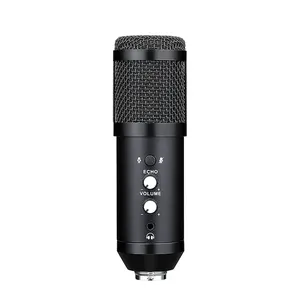 BM-868 USB Microphone Professional Metal Voice Recording Usb Condenser Studio Microphone