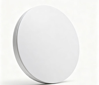 Plafonnier LED en plastique homologué CE ERP IP54 24W Ra80 AC 6000K moderne pour salle de bain