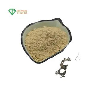 Ecdysteroneエキスでベータecdysone cyanotis arachnoidea c.b.· クラーク粉末turkesterone - Product Image 3