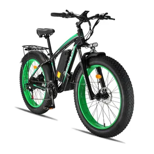 Top Cargo Fat Tire Bicycle 1000w 48v Electric Bike With Competitive Price For Adults Sports