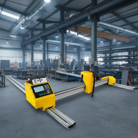 Machine de découpe plasma CNC à portique portable de haute précision pour la découpe de métaux lourds jusqu'à 100 mm